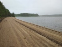IMG_20220729_180322.jpg