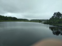IMG_20220730_134837.jpg