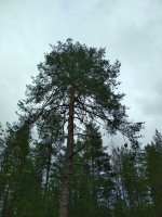 IMG_20220731_160327.jpg