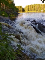 IMG_20220801_182937.jpg