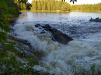 IMG_20220801_182941.jpg