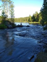 IMG_20220801_183431.jpg