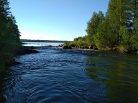 IMG_20220801_183442.jpg