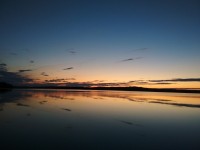 IMG_20220801_233518.jpg