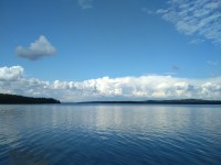 IMG_20220802_123722.jpg