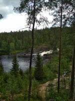 IMG_20220802_145516.jpg