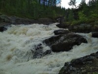 IMG_20220802_145931.jpg