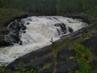 IMG_20220802_150134.jpg