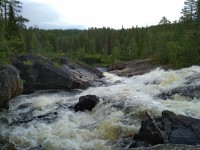 IMG_20220802_150642.jpg