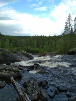 IMG_20220802_151200.jpg