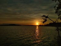 IMG_20220804_211952.jpg