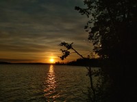 IMG_20220804_212007.jpg
