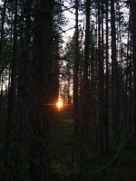 IMG_20220804_212340.jpg