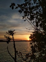 IMG_20220804_213031.jpg