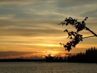 IMG_20220804_213210.jpg