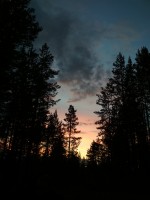 IMG_20220804_222013.jpg