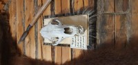 20220820_122437.jpg