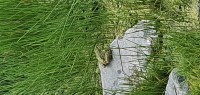 20220820_140333.jpg