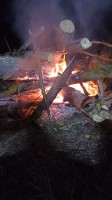 IMG-20220917-WA0000.jpg