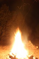 IMG_0144.jpg