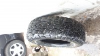 20181030_133541.jpg