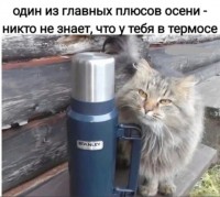 IMG-20221009-WA0003.jpg