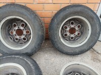 IMG_20221104_131441.jpg