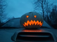 IMG_20221103_30.jpg