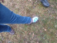 IMG_20221105_130.jpg