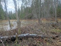 IMG_20221105_143.jpg