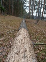 IMG-20221106-WA0059.jpg