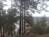 IMG-20221106-WA0077.jpg