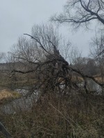 IMG-20221106-WA0087.jpg