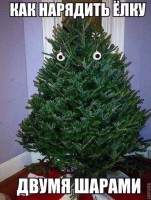 IMG_20221224_095753_832.jpg