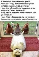 1675941765710.png