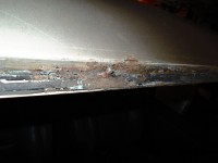 IMG_1165.jpg
