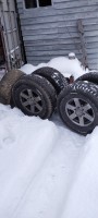 IMG_20230308_142822.jpg