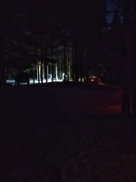 IMG_20230325_050856.jpg