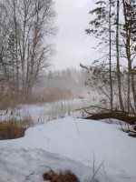 IMG_20230325_175459.jpg