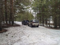 IMG_20230325_113145.jpg