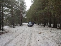 IMG_20230325_113214.jpg