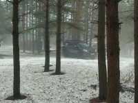 IMG_20230325_173936.jpg