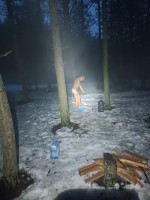 IMG_20230325_192215.jpg