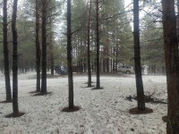 IMG_20230326_114102.jpg