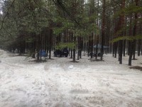 IMG_20230326_115649.jpg