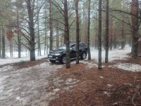 IMG_20230326_115655.jpg