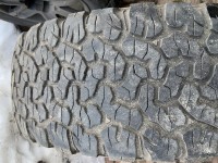IMG_4083.jpeg