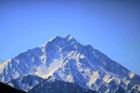 IMG_2662-1.jpg