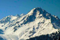 IMG_2664-2.jpg