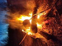 IMG_20230422_042422.jpg
